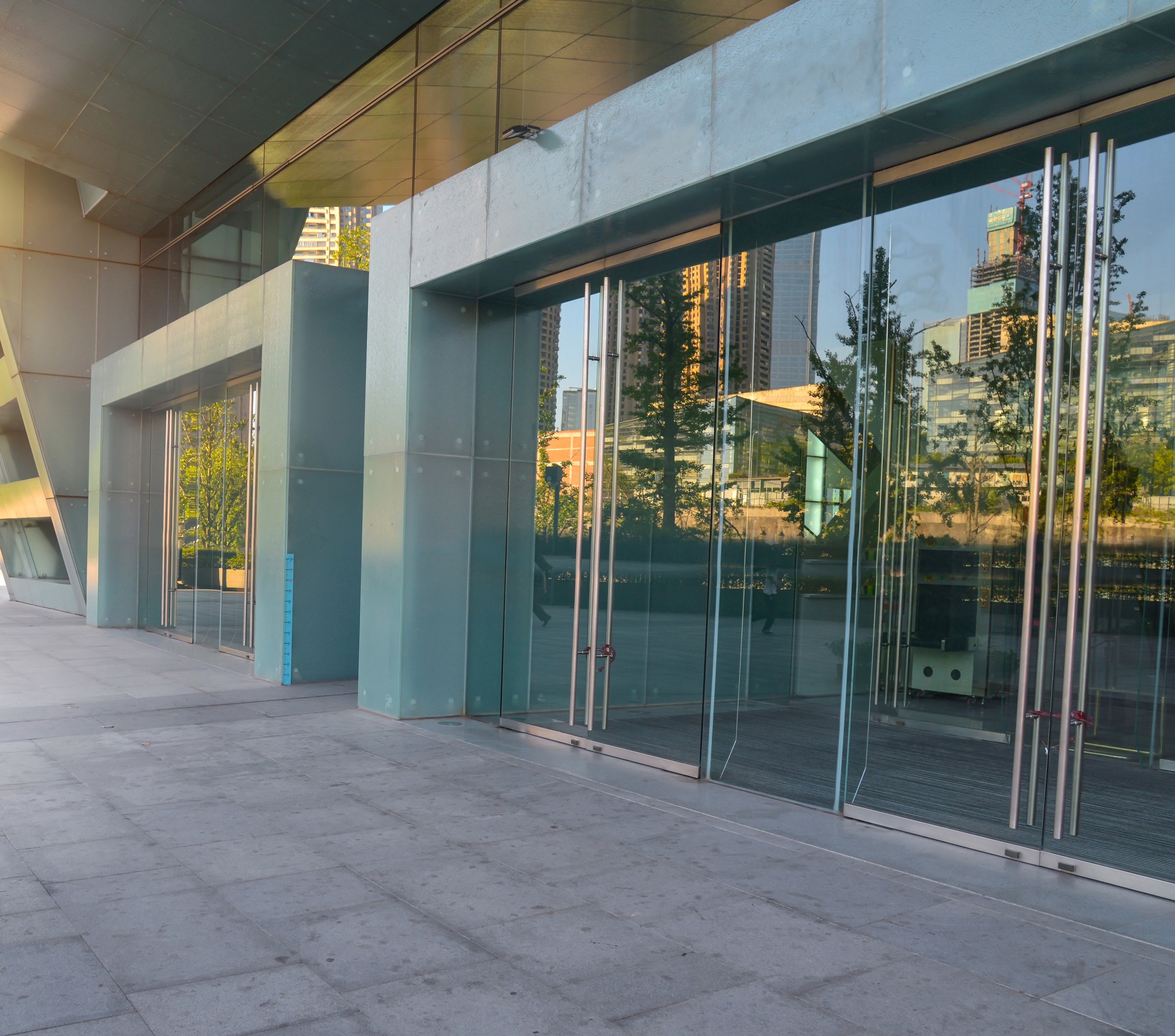 Glass and Aluminium door